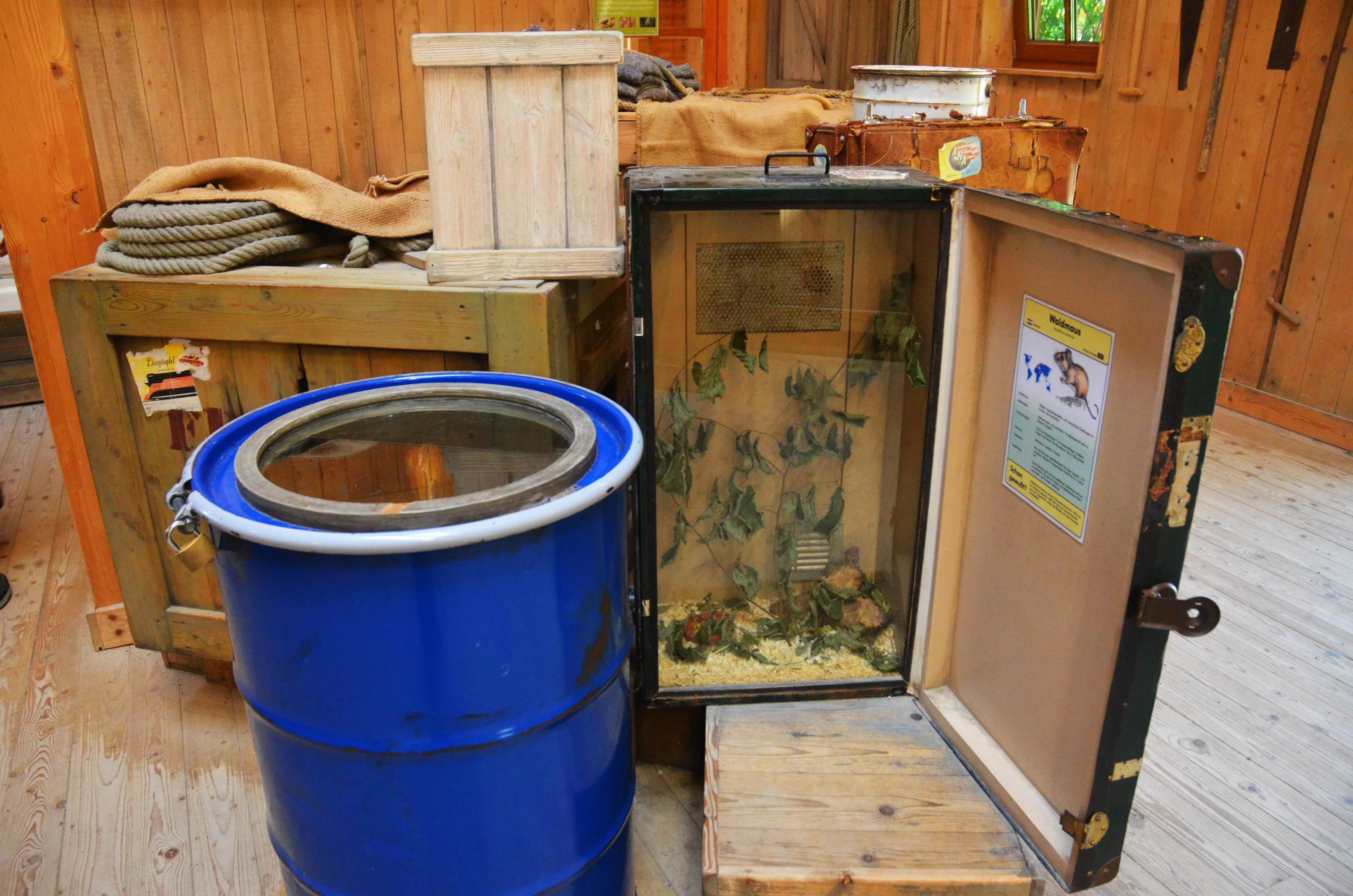 Wood Mouse Enclosure in Linked Cases at Duisburg, 17/06/19