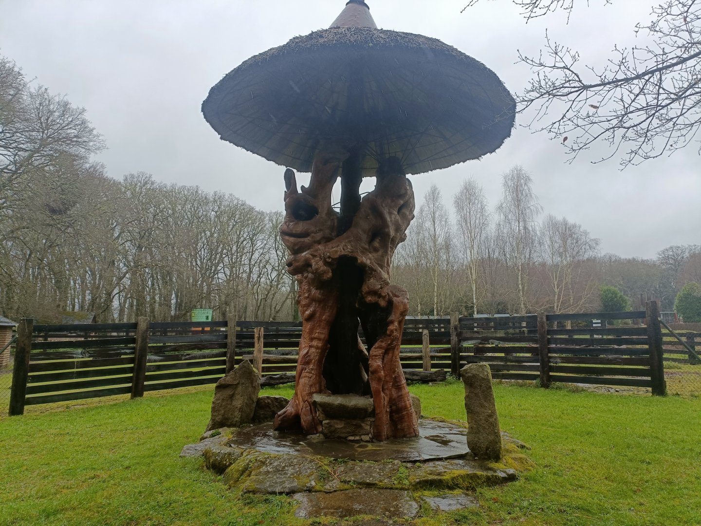 Wood sculpture -Marcelle Naturaleza