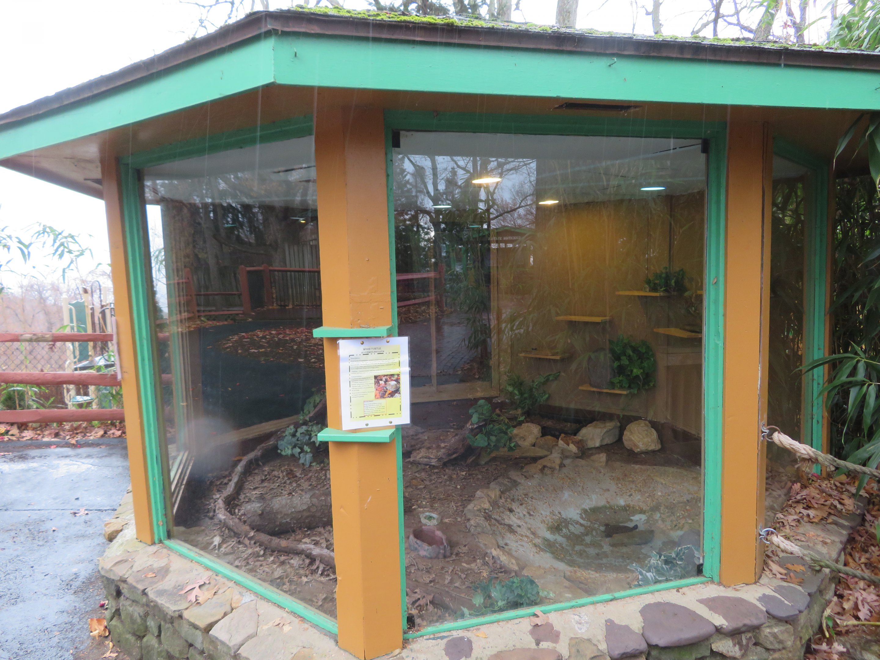 Wood Turtle Exhibit