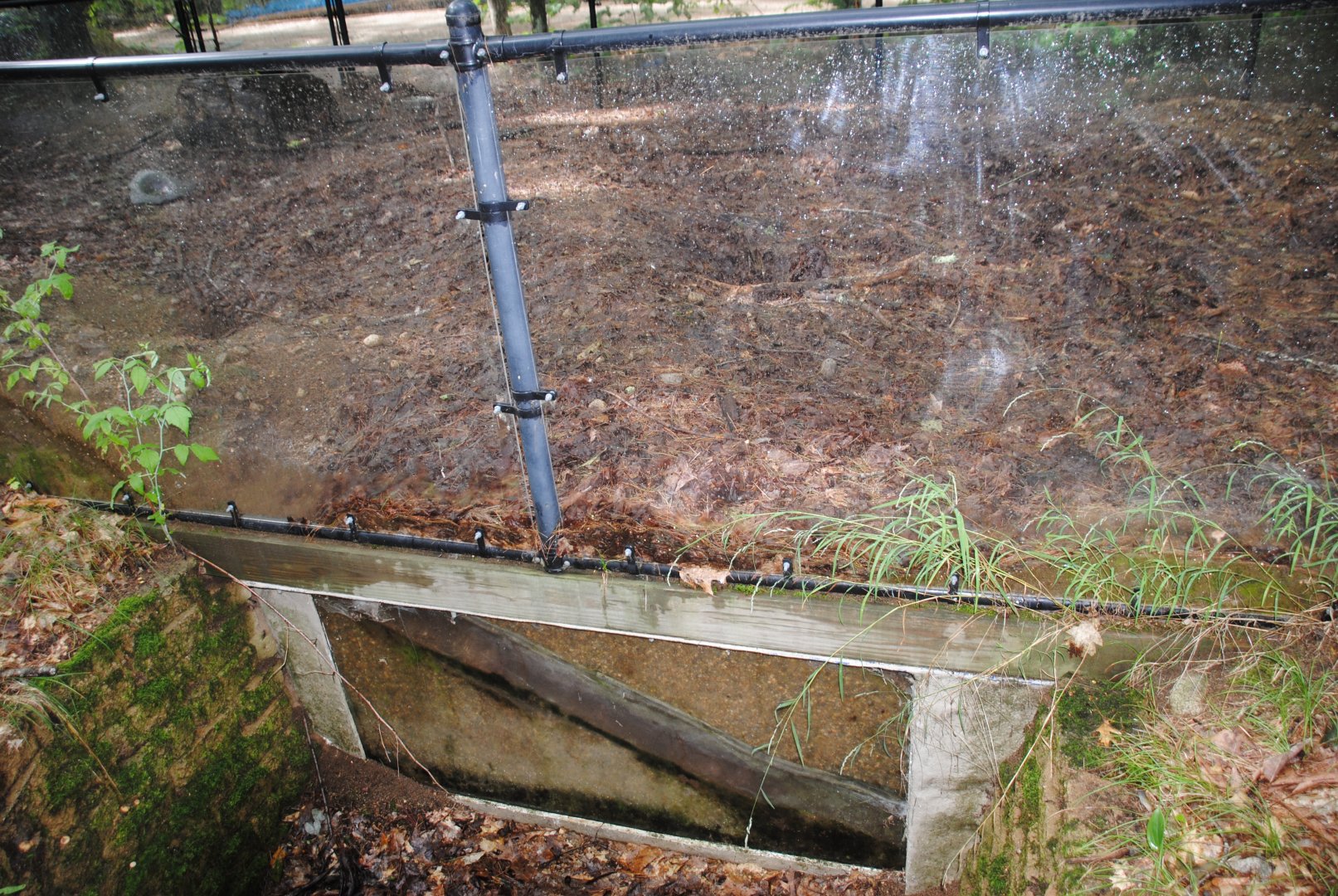 Woodchuck exhibit (burrow view)