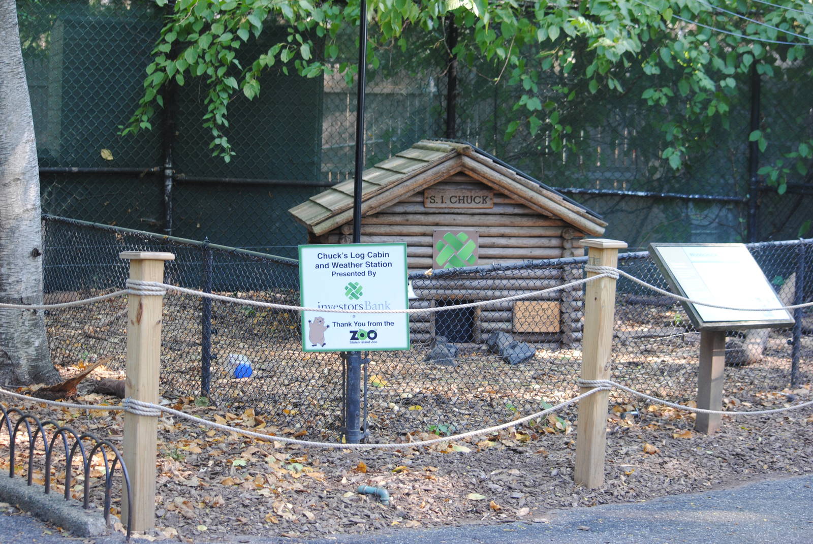 Woodchuck exhibit (Children's zone)