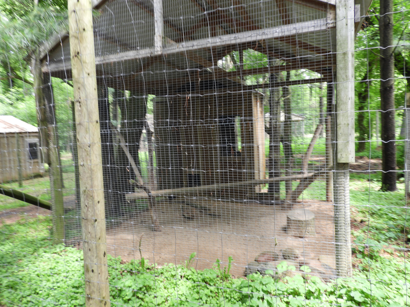 Woodchuck exhibit - Wilderness Trail - Animal Gardens Petting Zoo