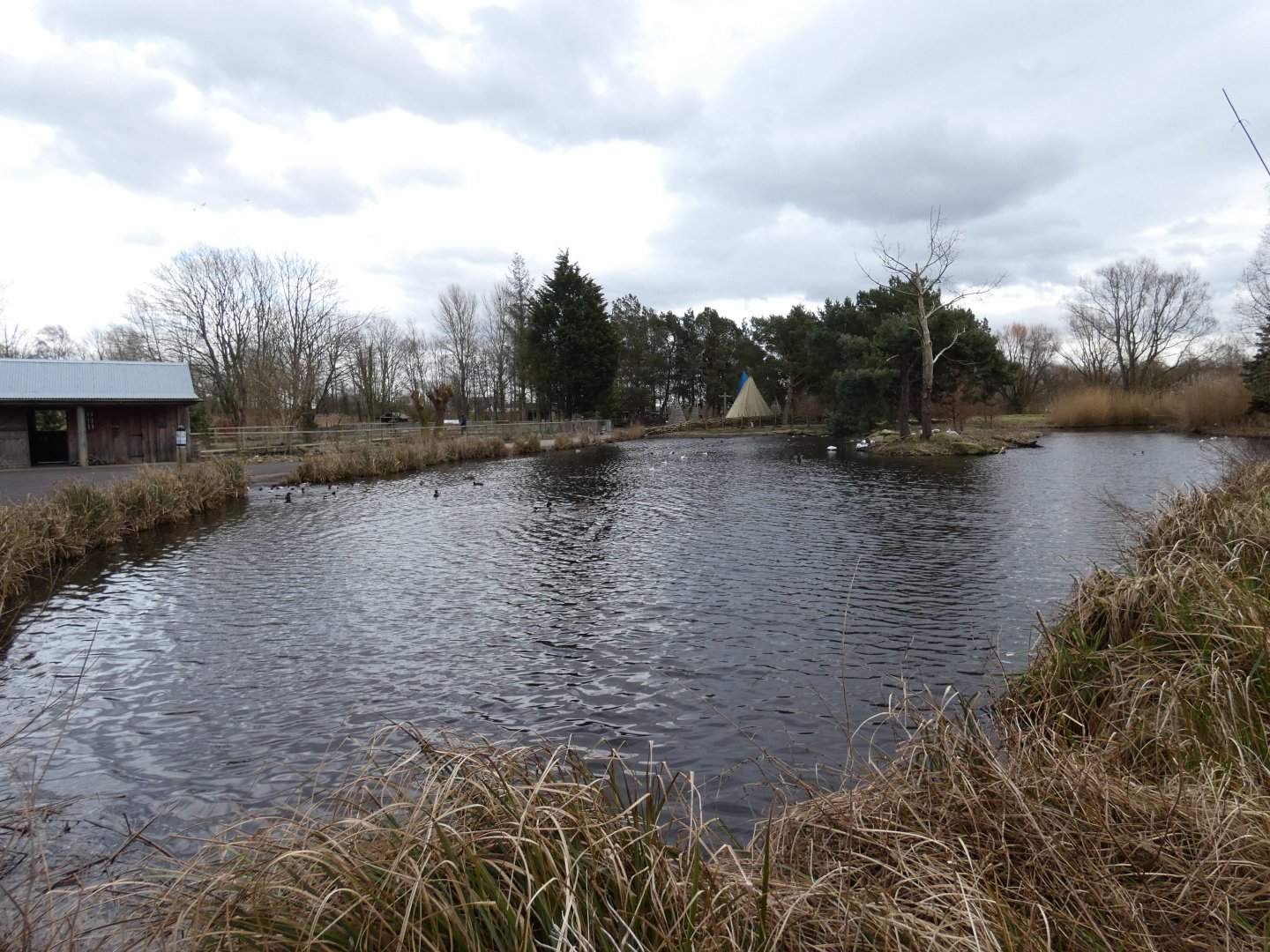 Wooded wetlands exhibit