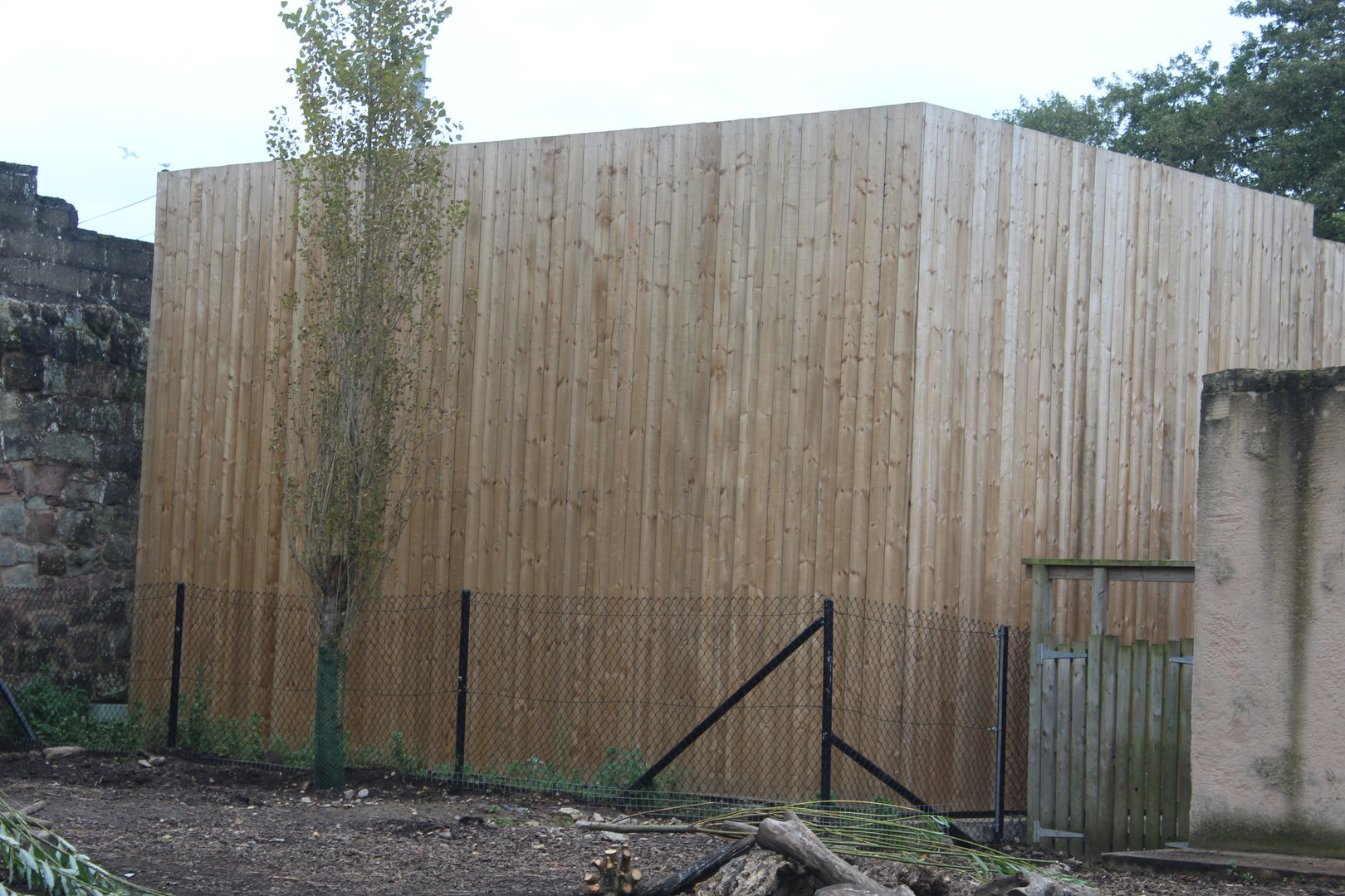 wooden building behind Chimp House 12/10/22