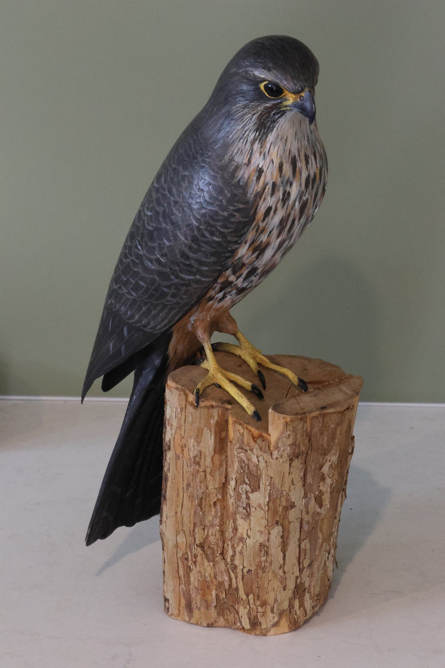 Wooden model of Kārearea (Falco novaeseelandiae), Kārearea Falcon Trust (Blenheim)