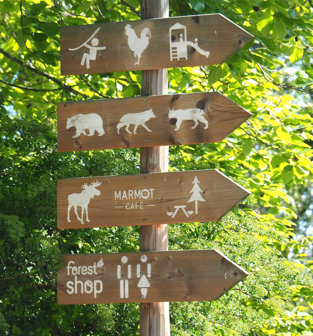 Wooden road signs, 2021-05-29