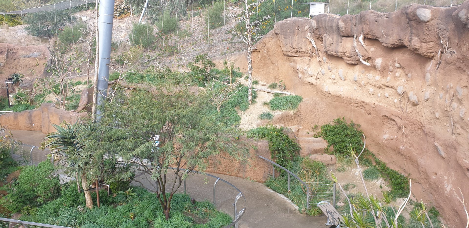 Woodland Aviary, Africa Rocks