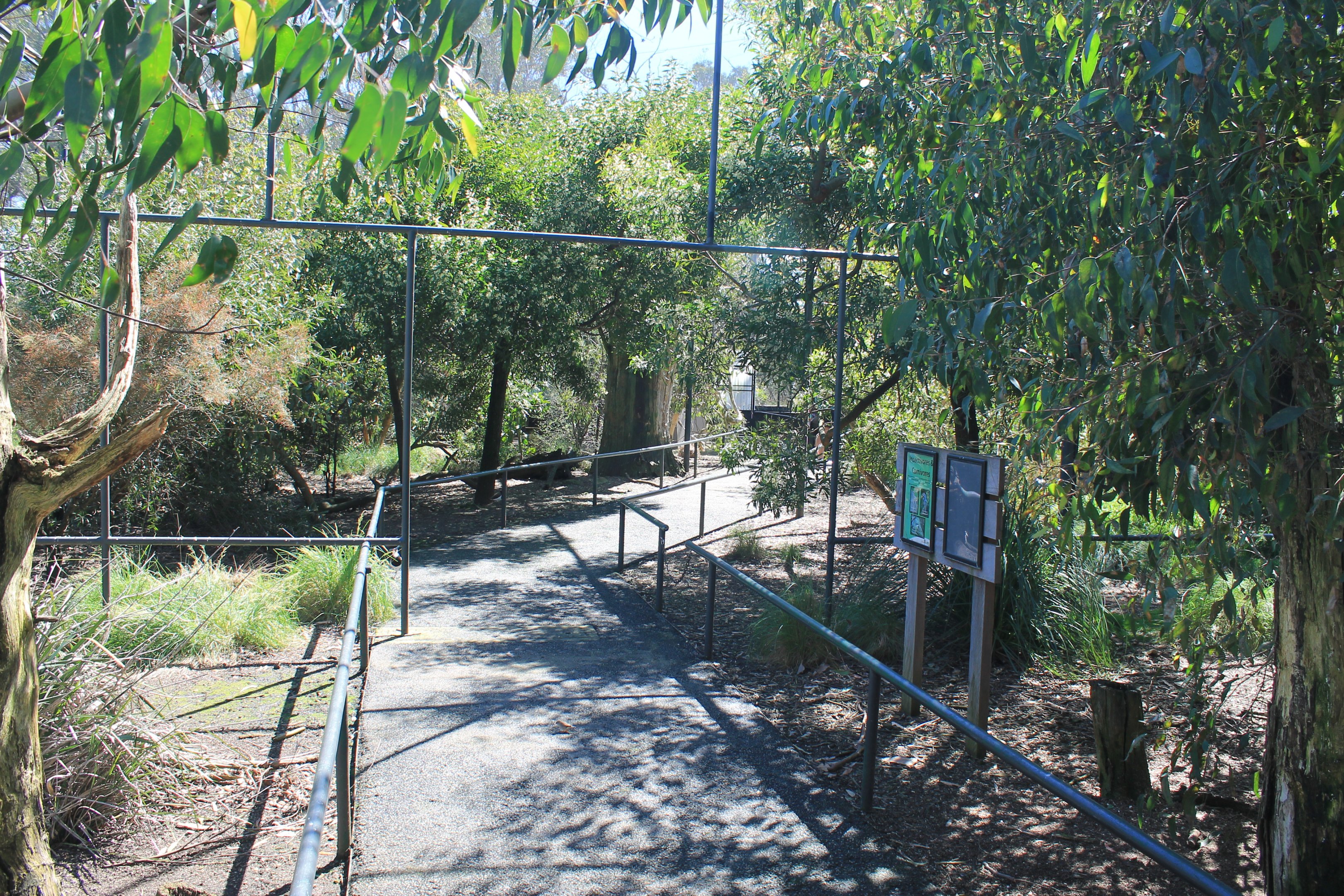 Woodland Aviary interior