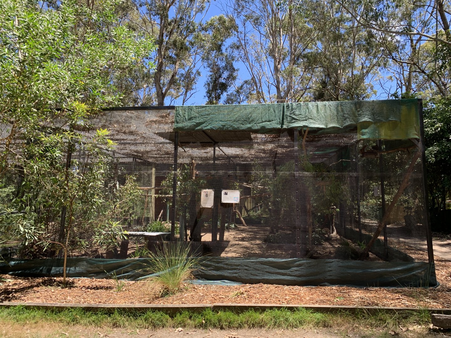 Woodland Aviary (Potoroo Palace)