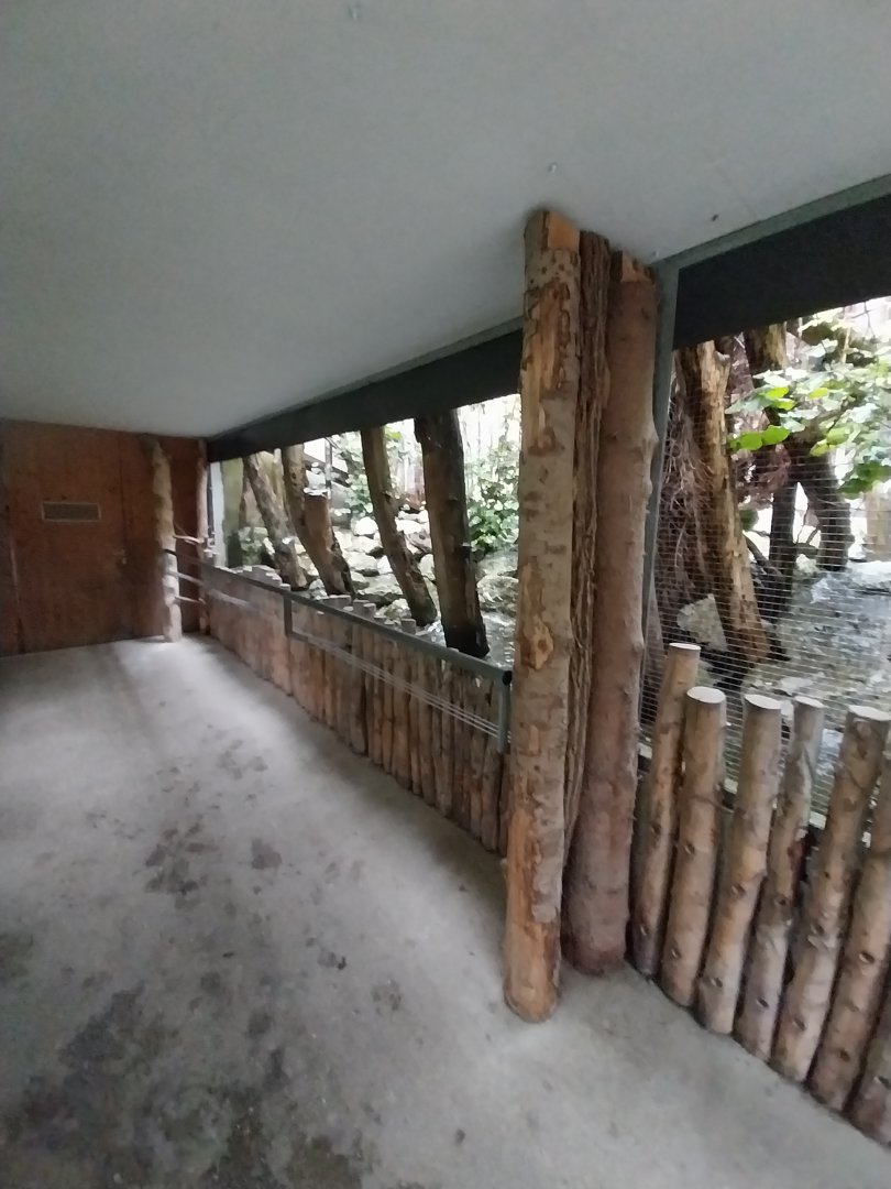 Woodland aviary viewing point