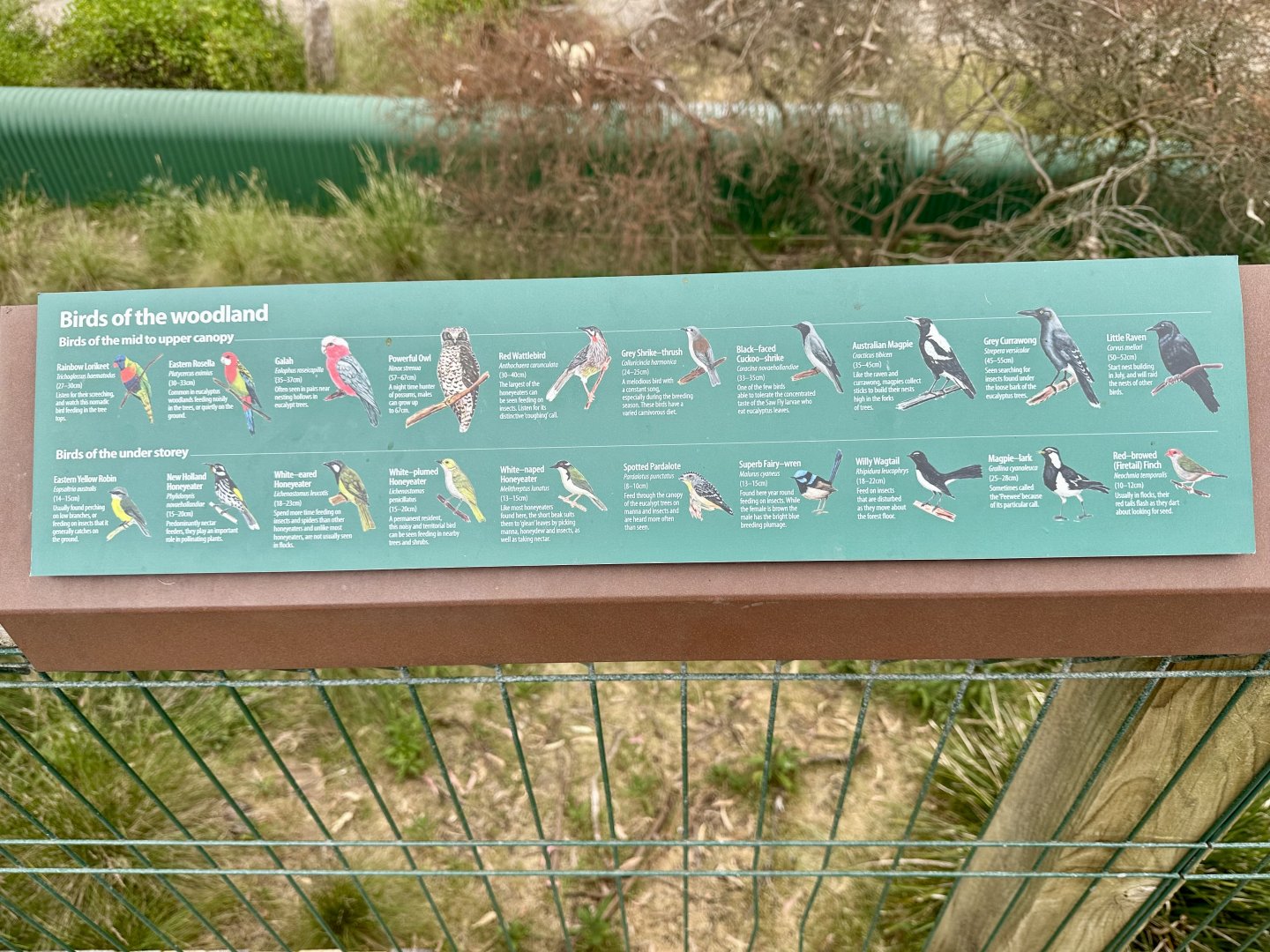 Woodland Bird Species Sign (Koala Conservation Reserve, Phillip Island)