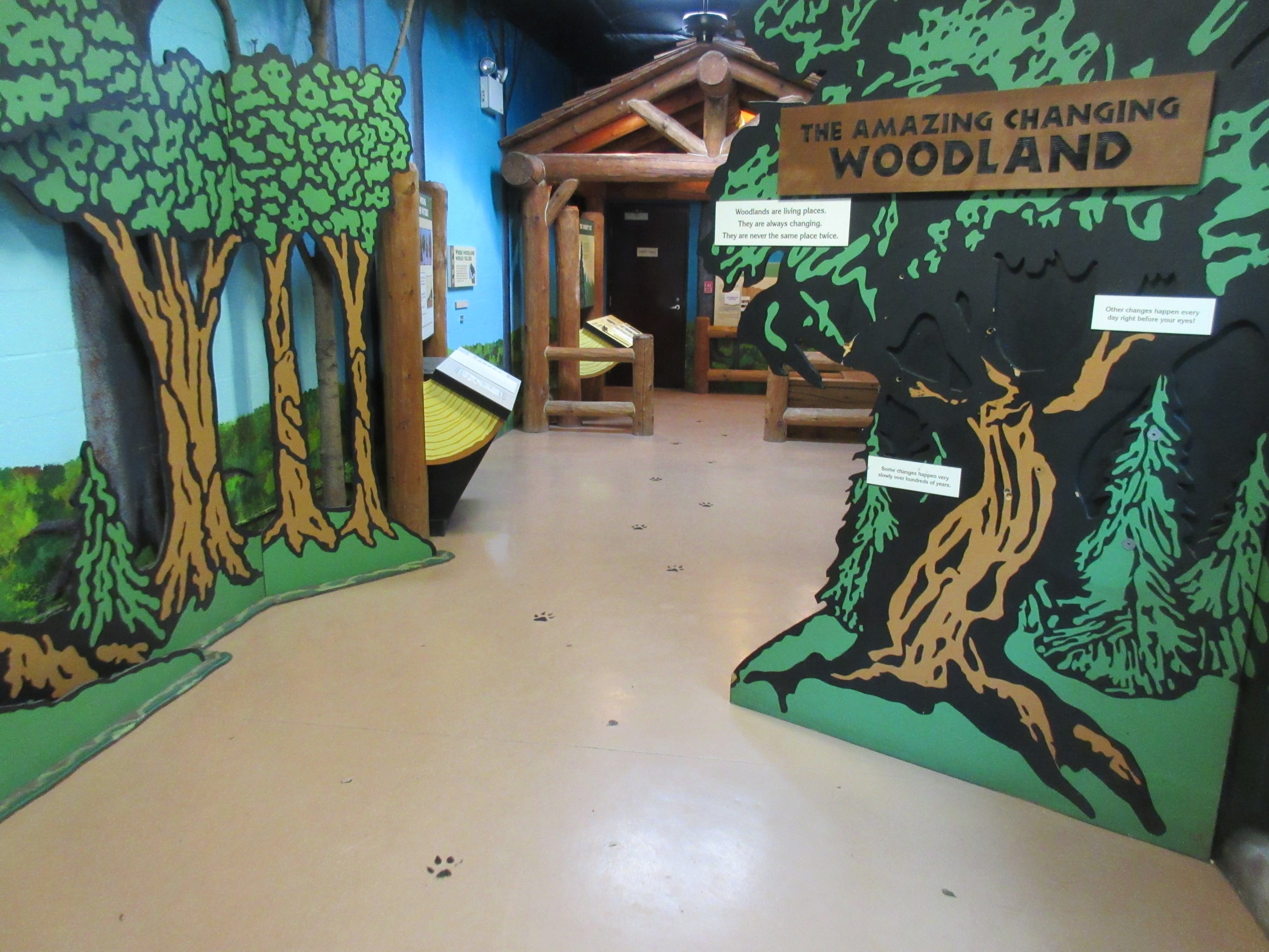 Woodland Building - Entrance Area