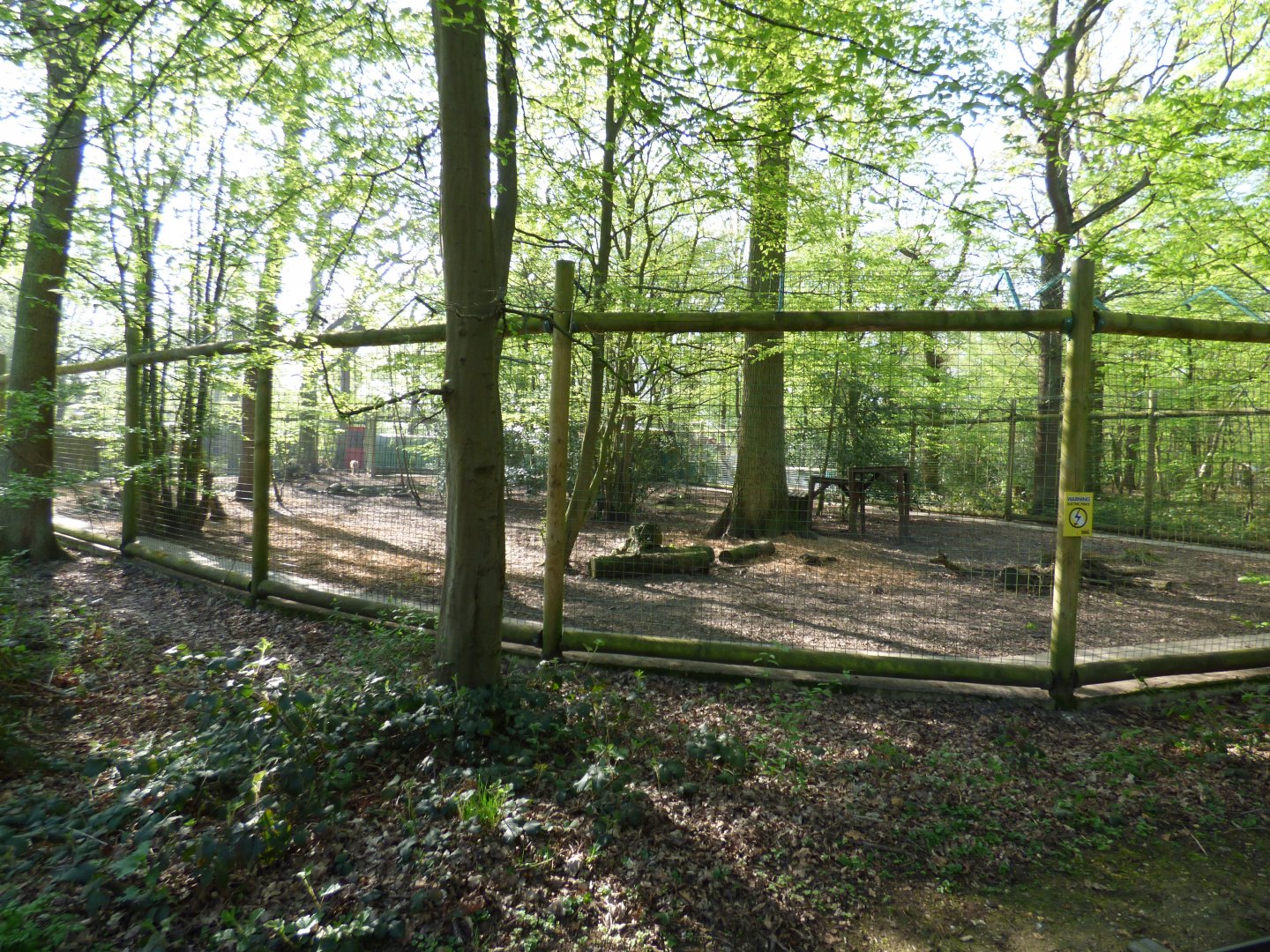Woodland European Wolf Enclosure