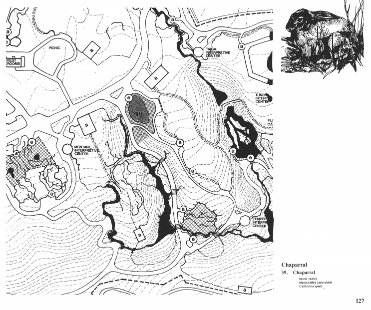 Woodland Park Zoo 1976 Long Range Master Plan: Chapparal