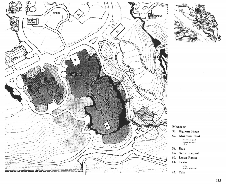 Woodland Park Zoo 1976 Long Range Master Plan: Montane
