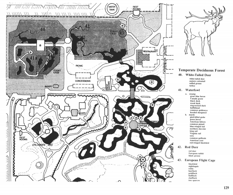 Woodland Park Zoo 1976 Long Range Master Plan: Temperate Deciduous Forest