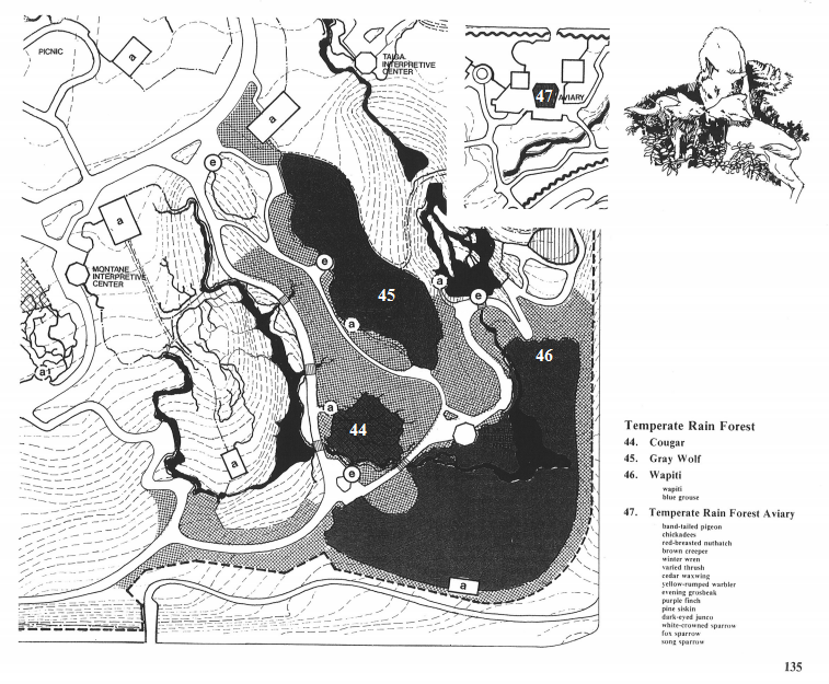 Woodland Park Zoo 1976 Long Range Master Plan: Temperate Rainforest