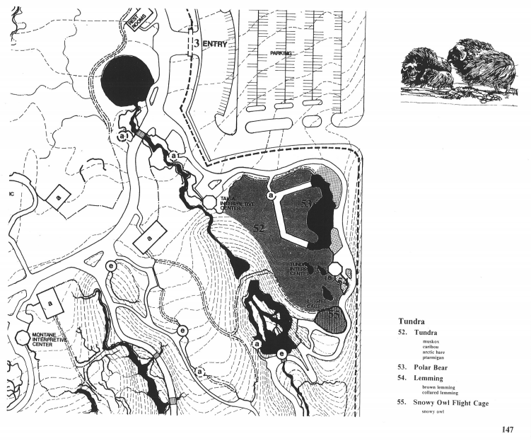 Woodland Park Zoo 1976 Long Range Master Plan: Tundra
