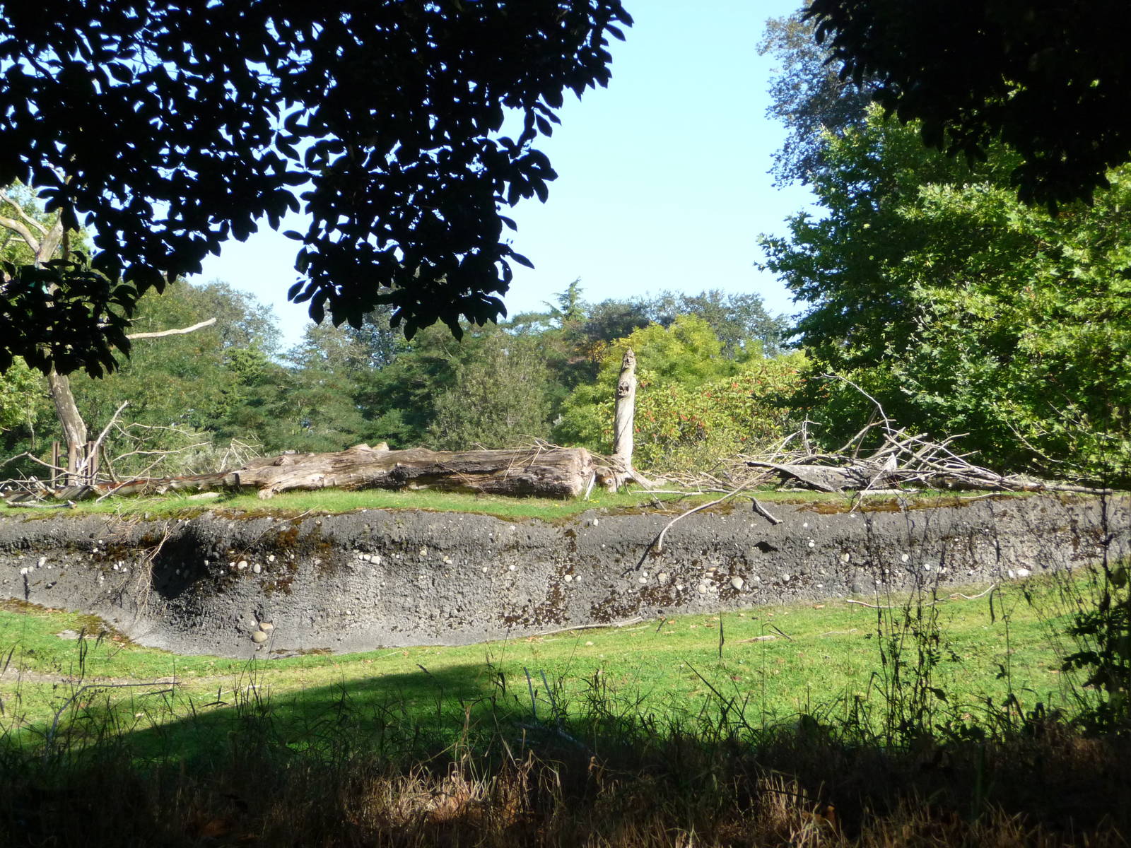 Woodland Park Zoo - African Savanna