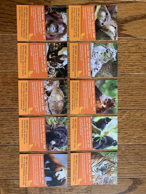 Woodland Park Zoo - Asian Animal Trading Cards (2016)