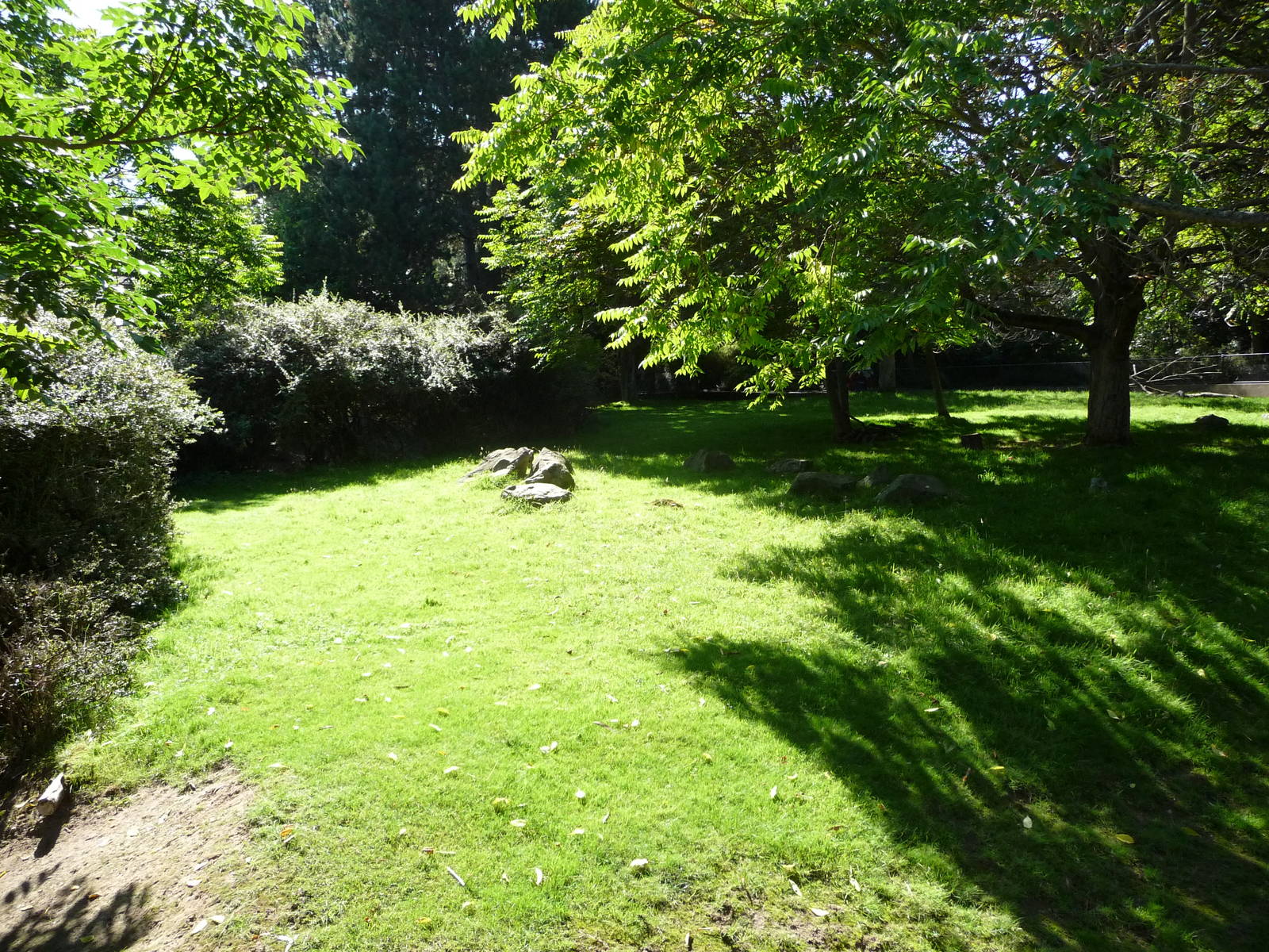 Woodland Park Zoo - Australia Paddock