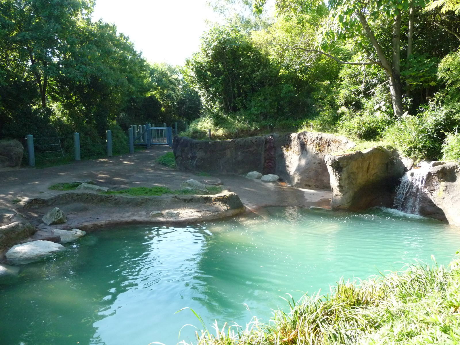 Woodland Park Zoo - Elephant Exhibit