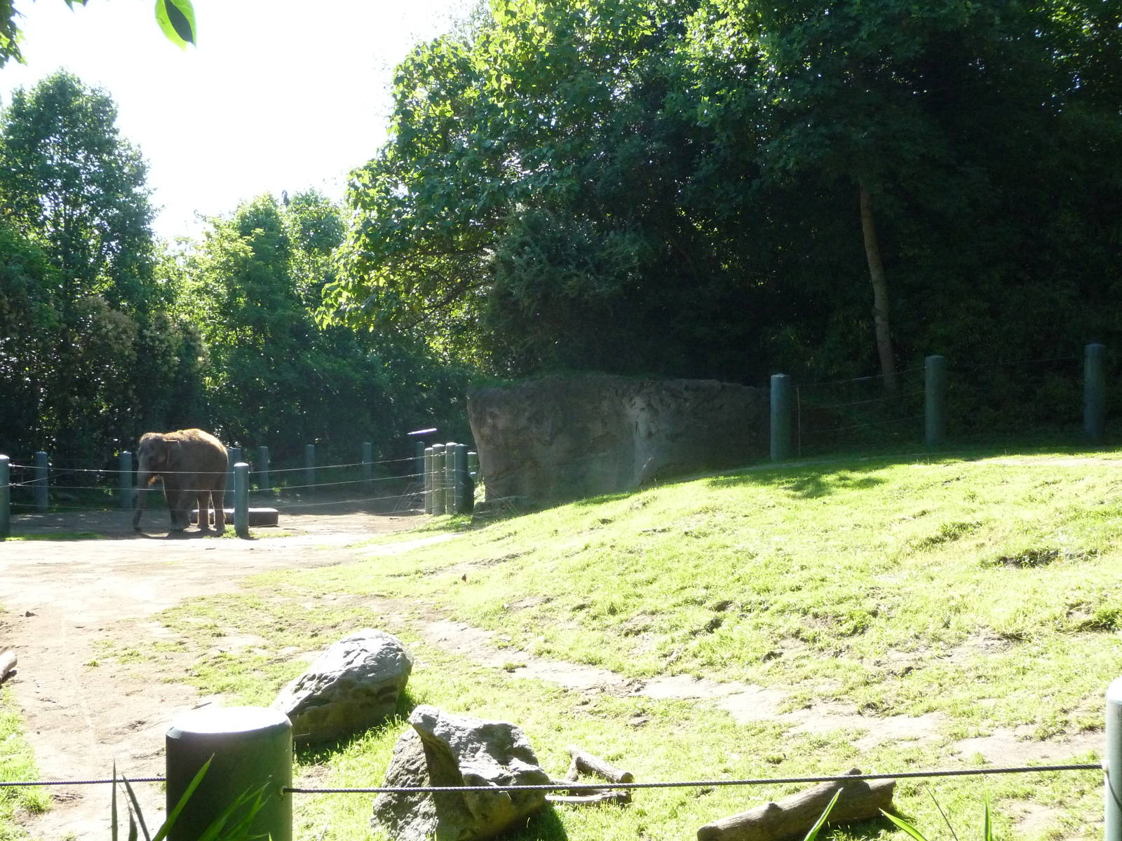 Woodland Park Zoo - Elephant Exhibit