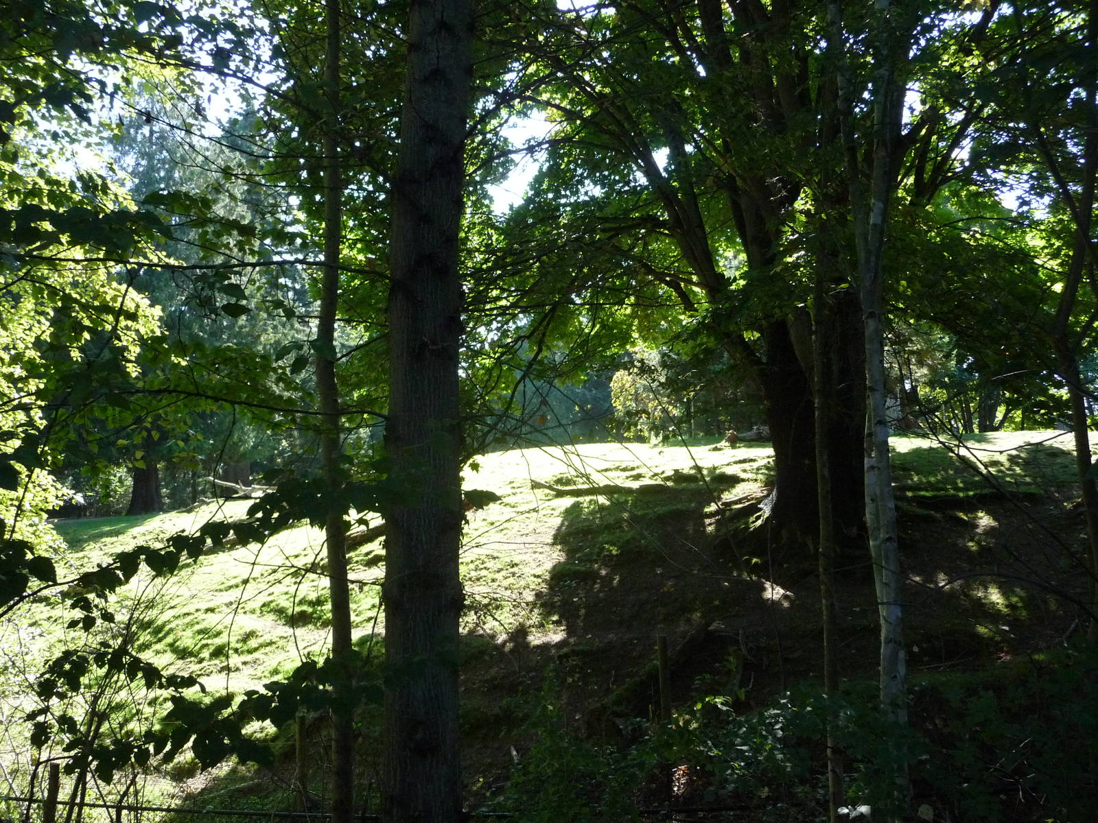 Woodland Park Zoo - Elk Exhibit