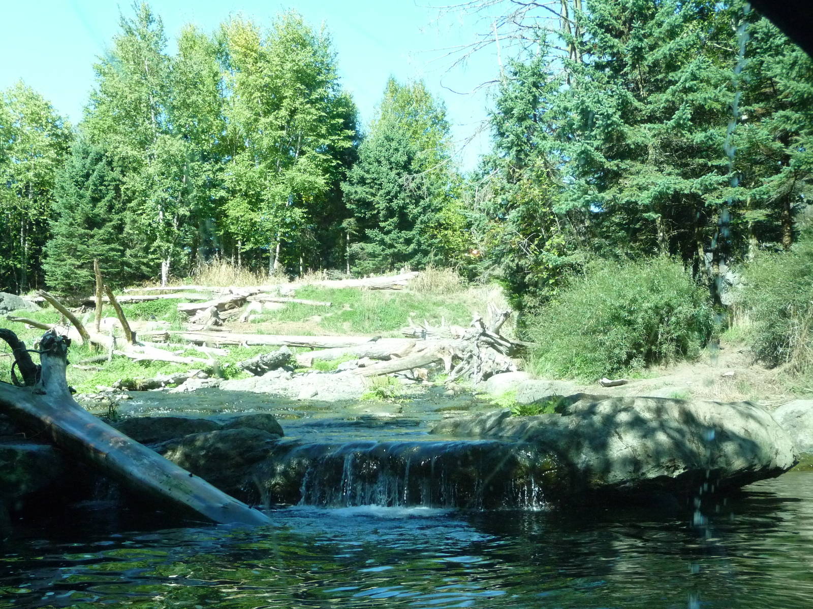 Woodland Park Zoo - Grizzly Bear Exhibit
