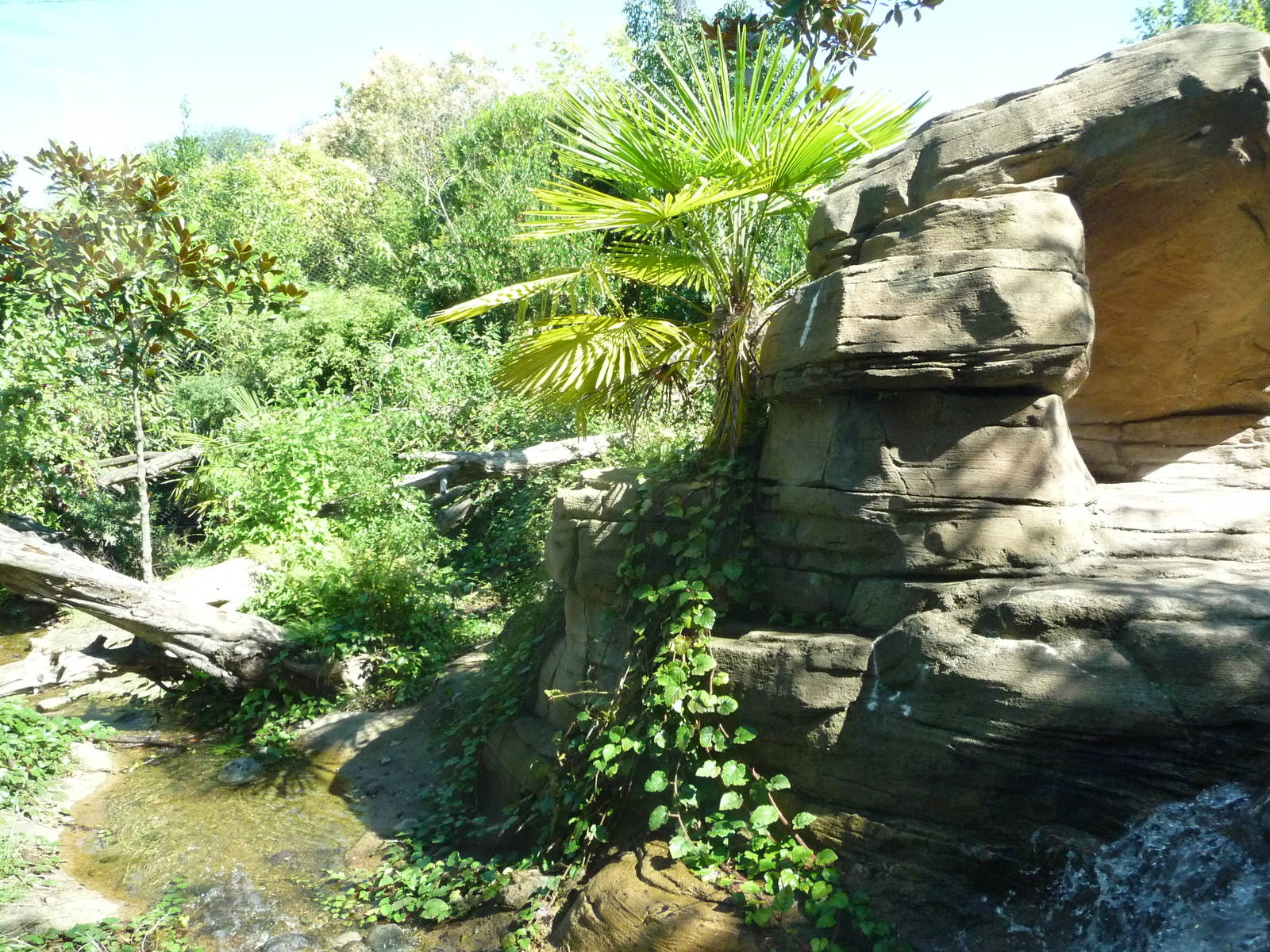 Woodland Park Zoo - Jaguar Cove
