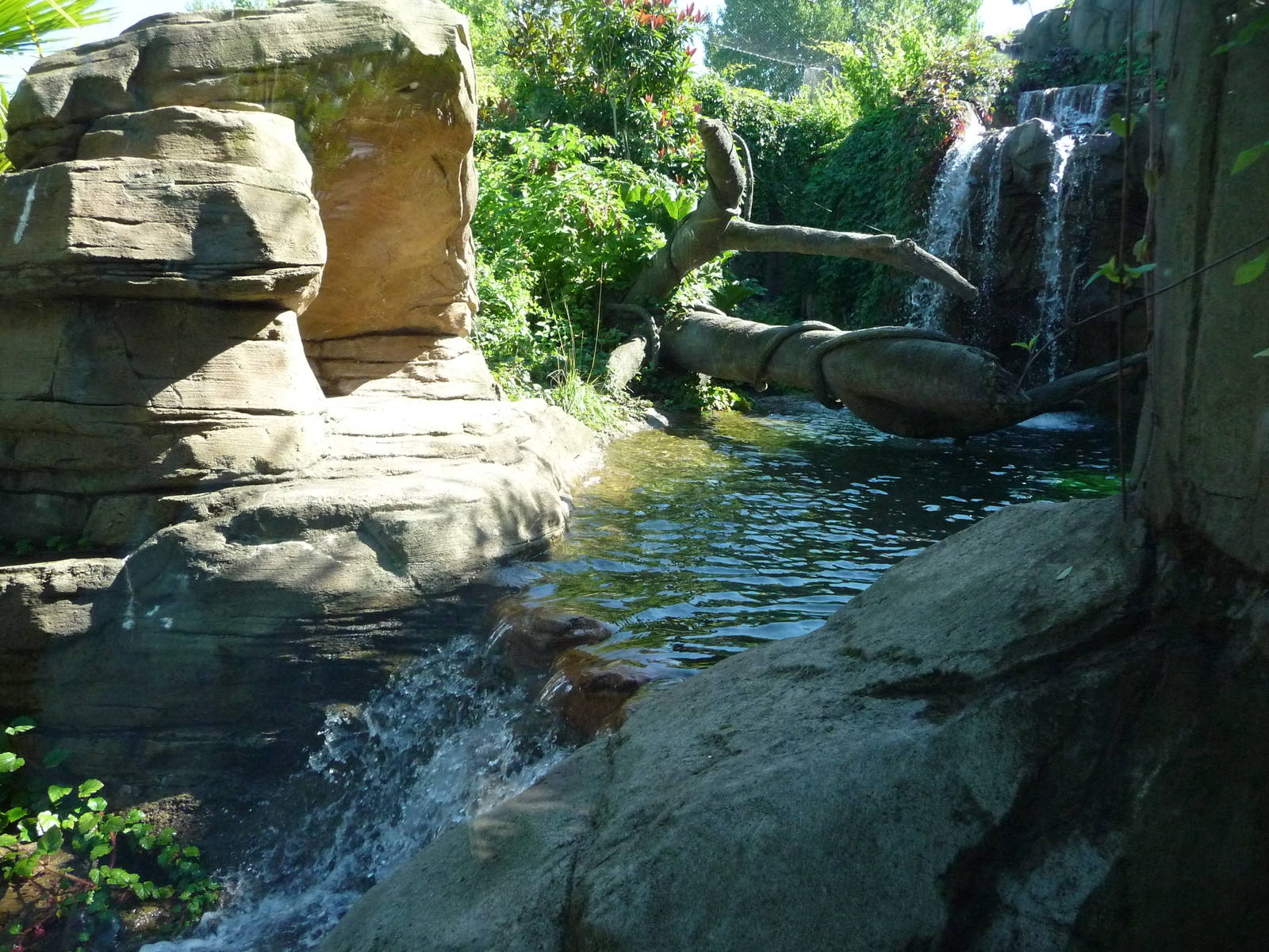 Woodland Park Zoo - Jaguar Cove
