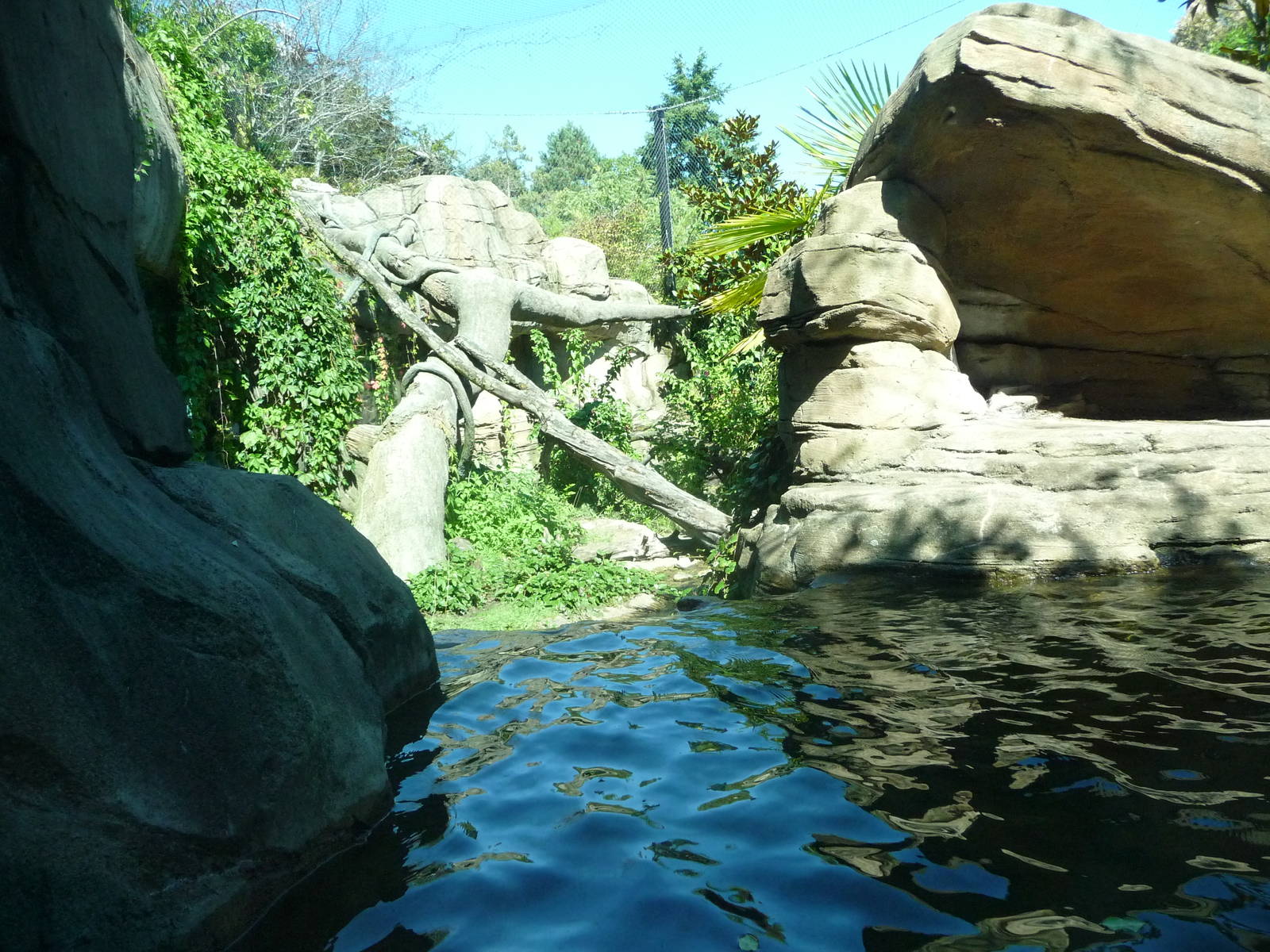 Woodland Park Zoo - Jaguar Cove