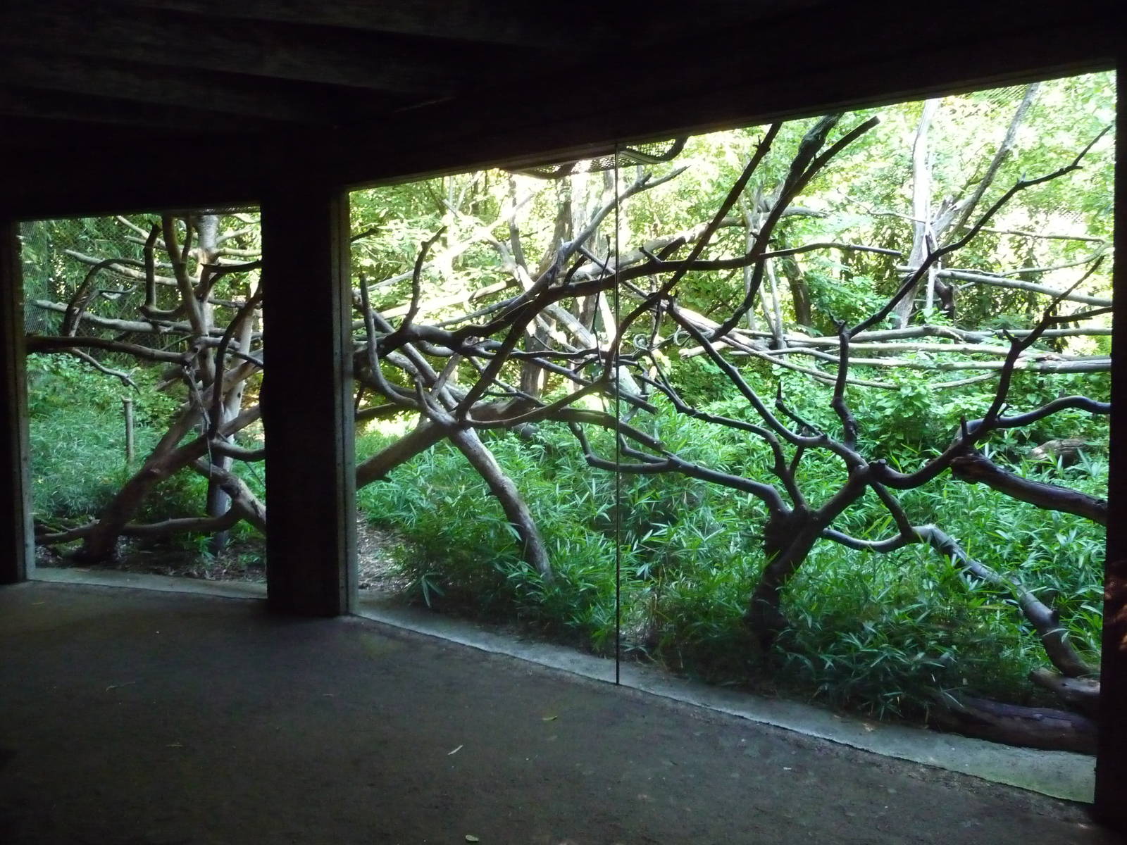 Woodland Park Zoo - Lion-Tailed Macaque Exhibit