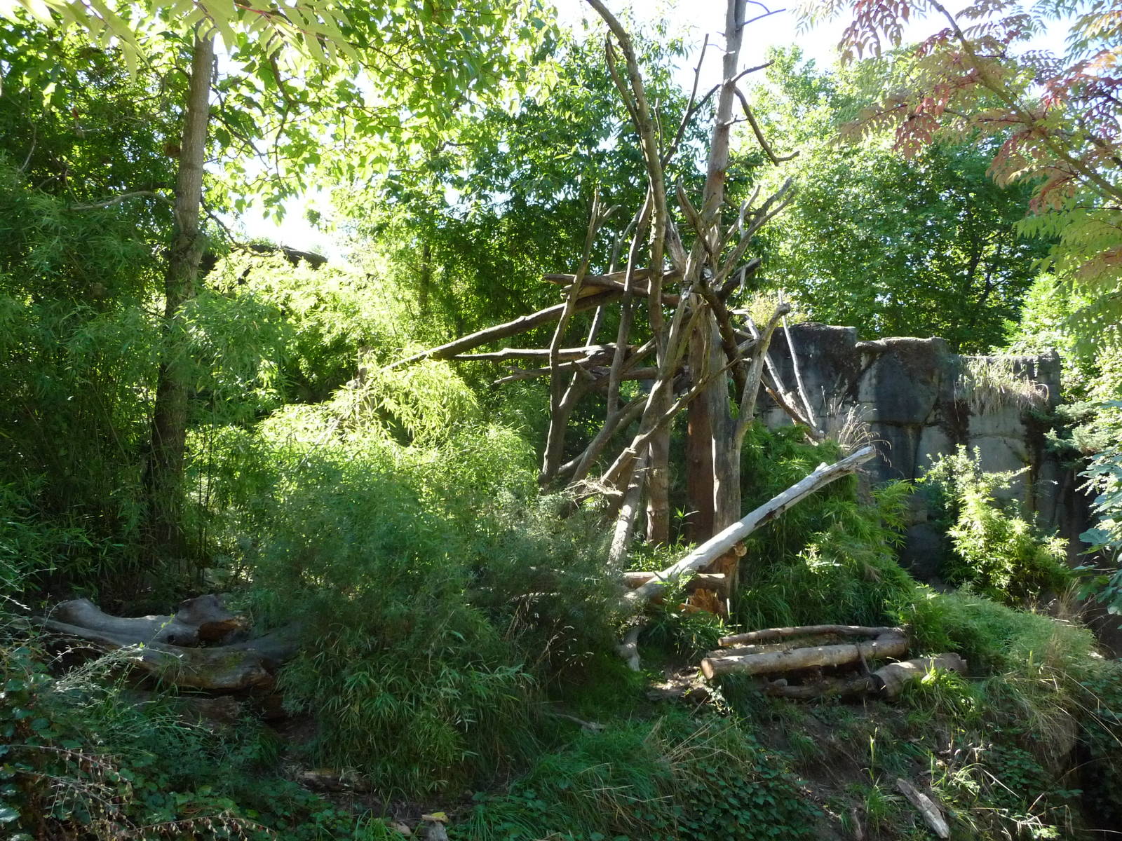 Woodland Park Zoo - Orangutan Exhibit