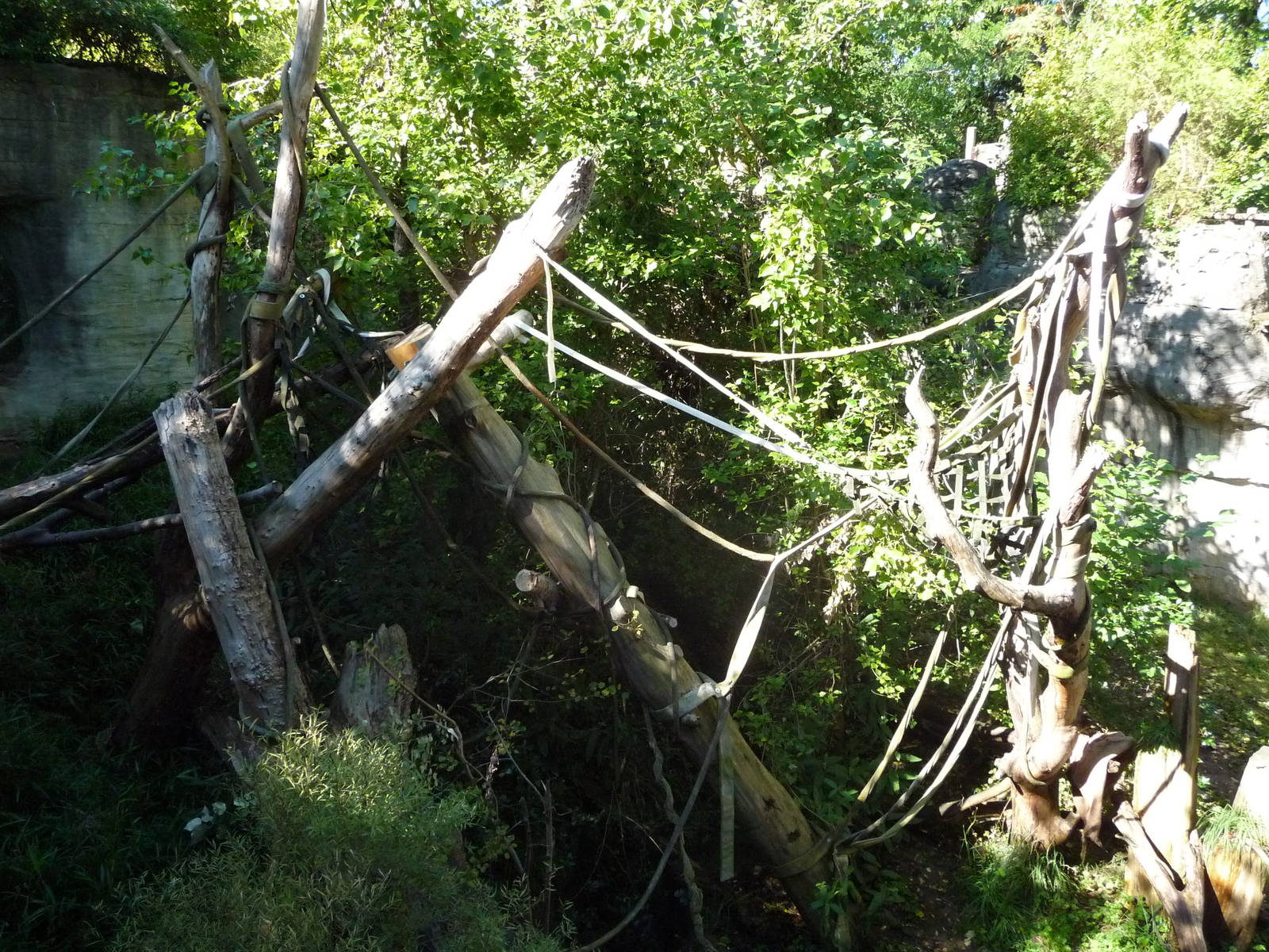 Woodland Park Zoo - Orangutan Exhibit