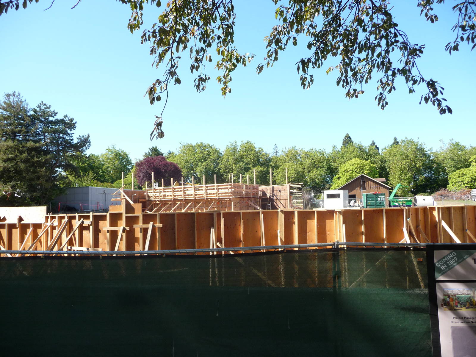 Woodland Park Zoo - Penguin Exhibit