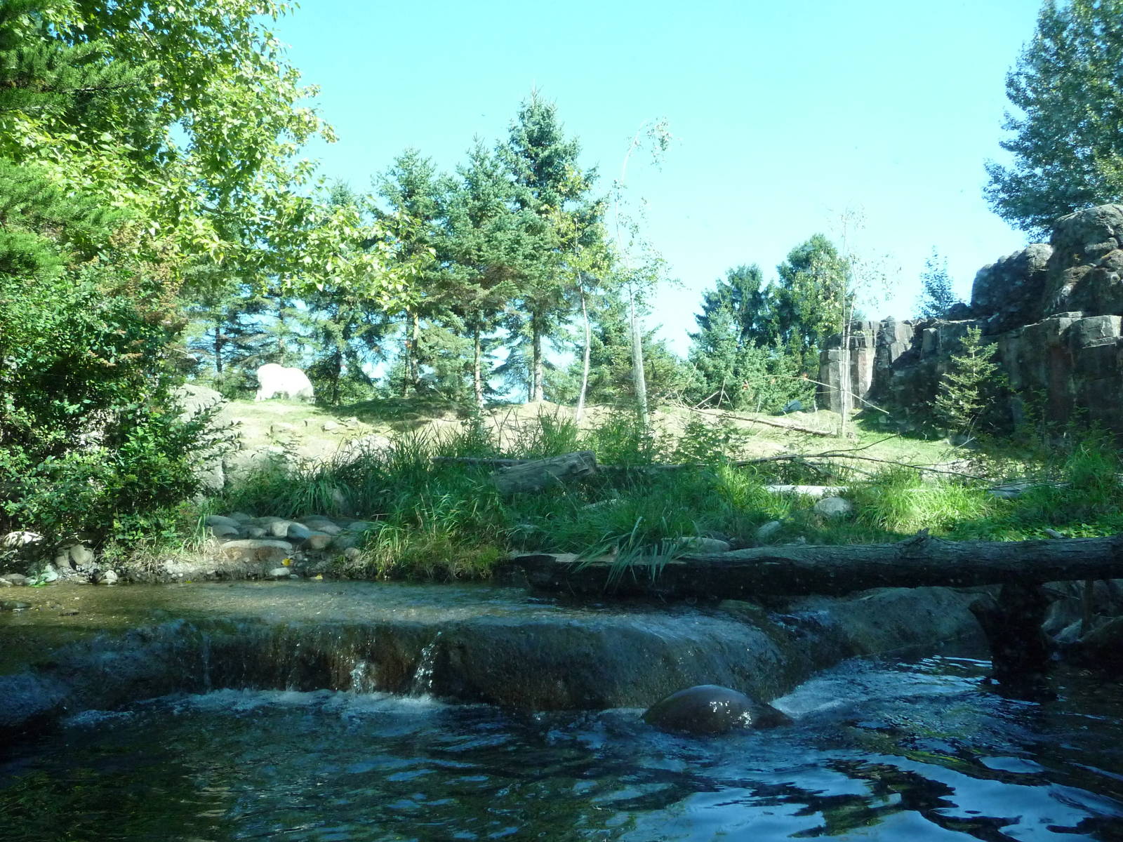 Woodland Park Zoo - River Otter/Mountain Goat Exhibit