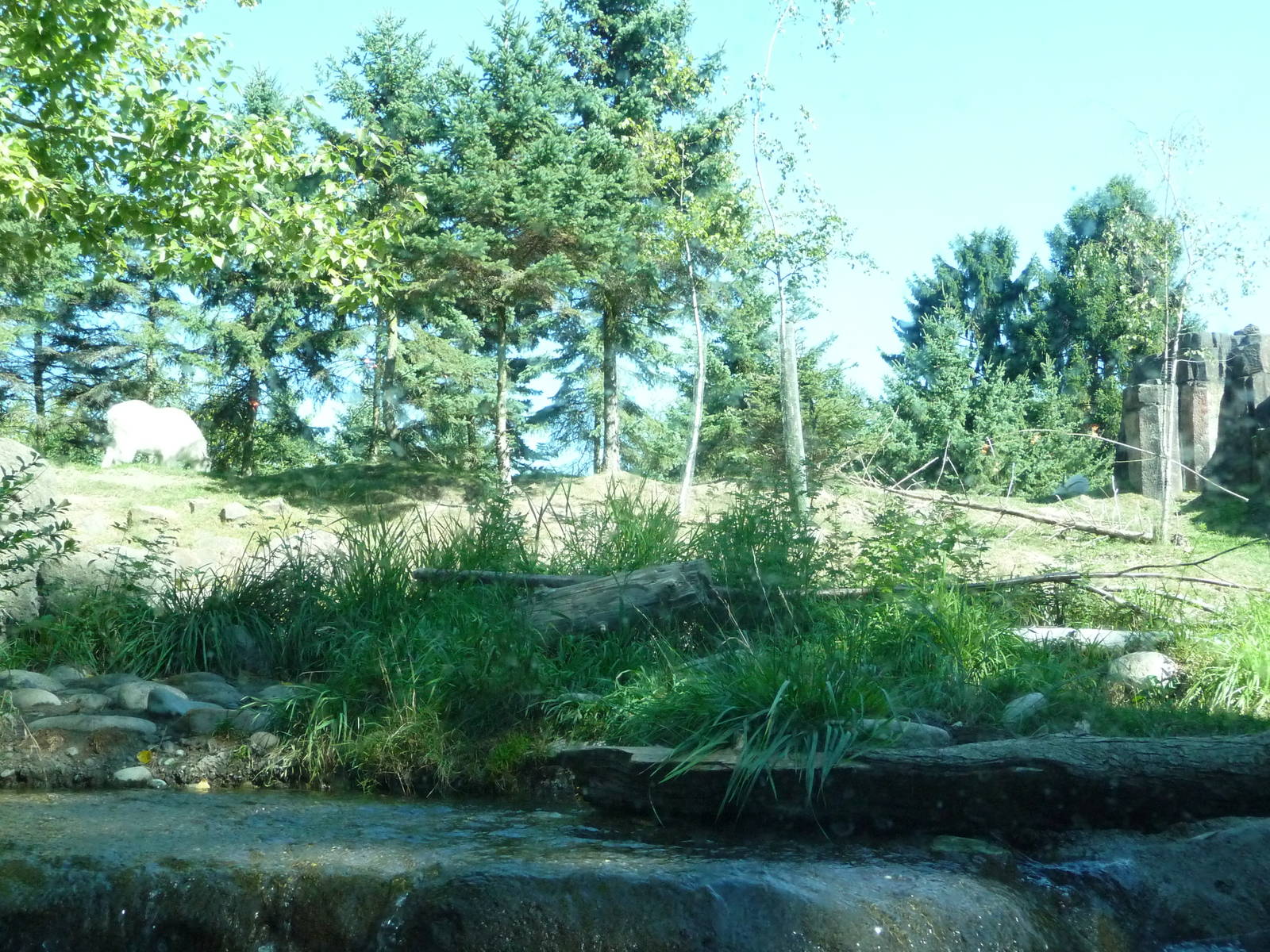 Woodland Park Zoo - River Otter/Mountain Goat Exhibit