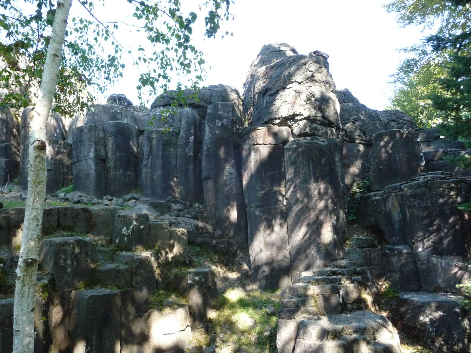 Woodland Park Zoo - Rocky Mountain Goat Exhibit