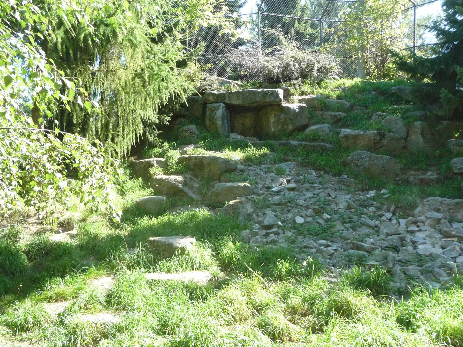 Woodland Park Zoo - Snow Leopard Exhibit