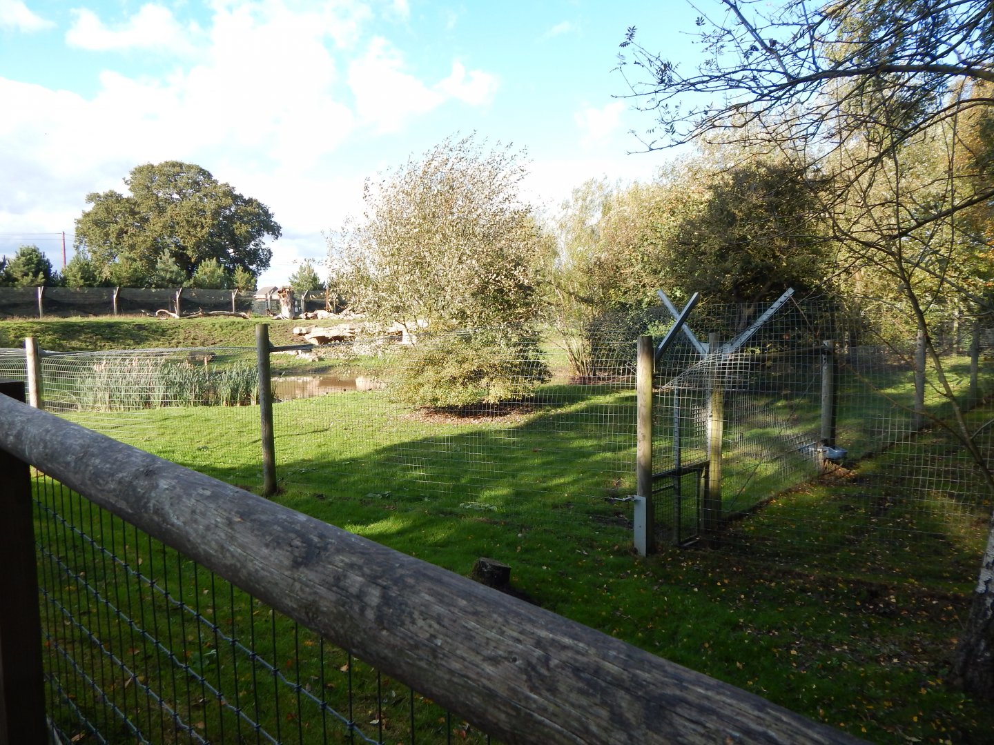 Woodland Trail - African hunting dog habitat 121024