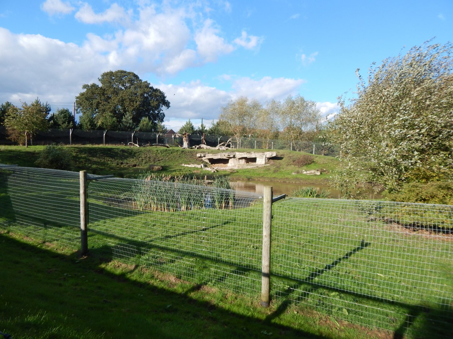 Woodland Trail - African hunting dog habitat 121024