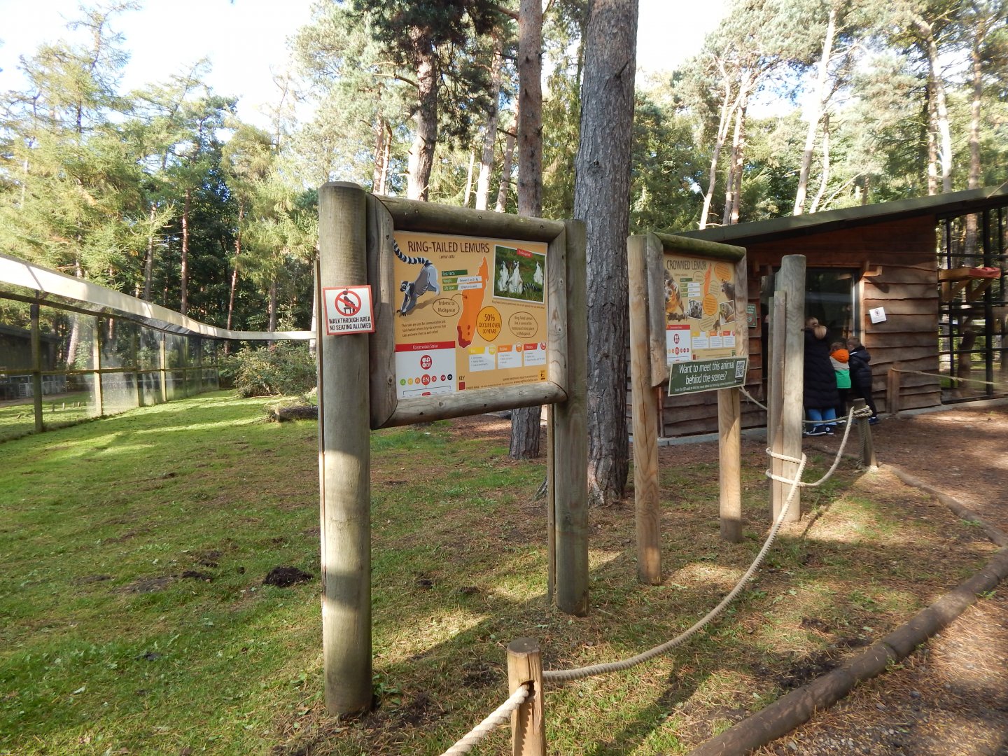 Woodland Trail - Lemur Woods 121024