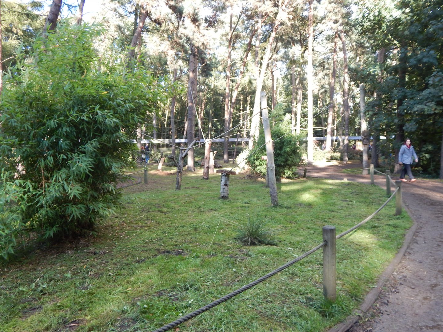 Woodland Trail - Lemur Woods 121024