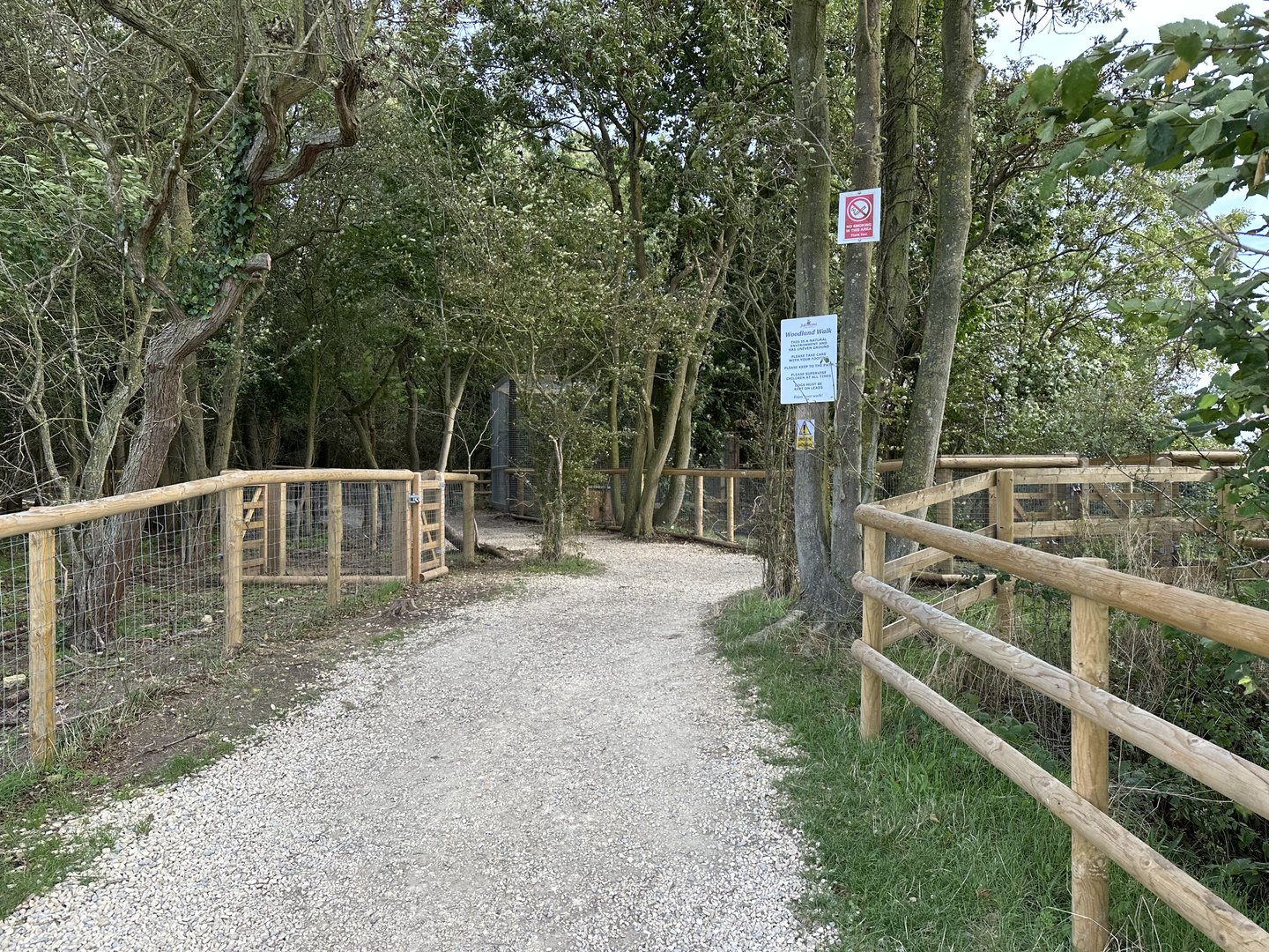 Woodland Walk at Johnsons of Old Hurst (October 2023)