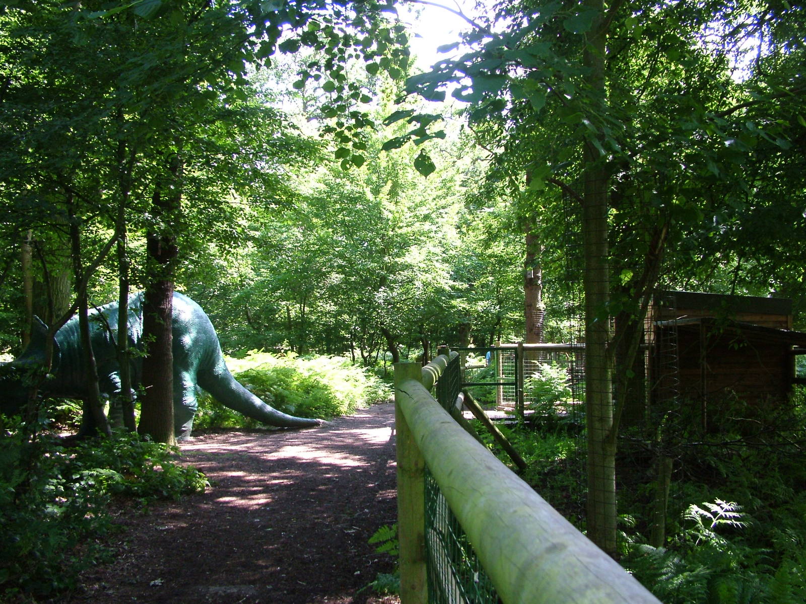Woodland Walk at Paradise WP, Broxbourne 25/07/09