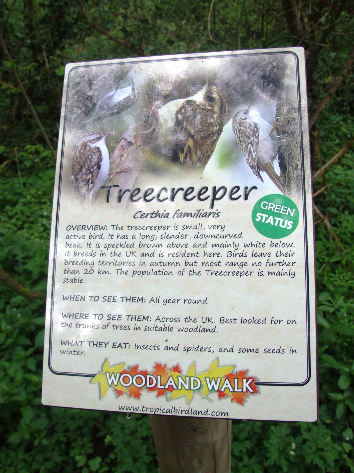 Woodland Walk Signage at Tropical Birdland, 18/05/13