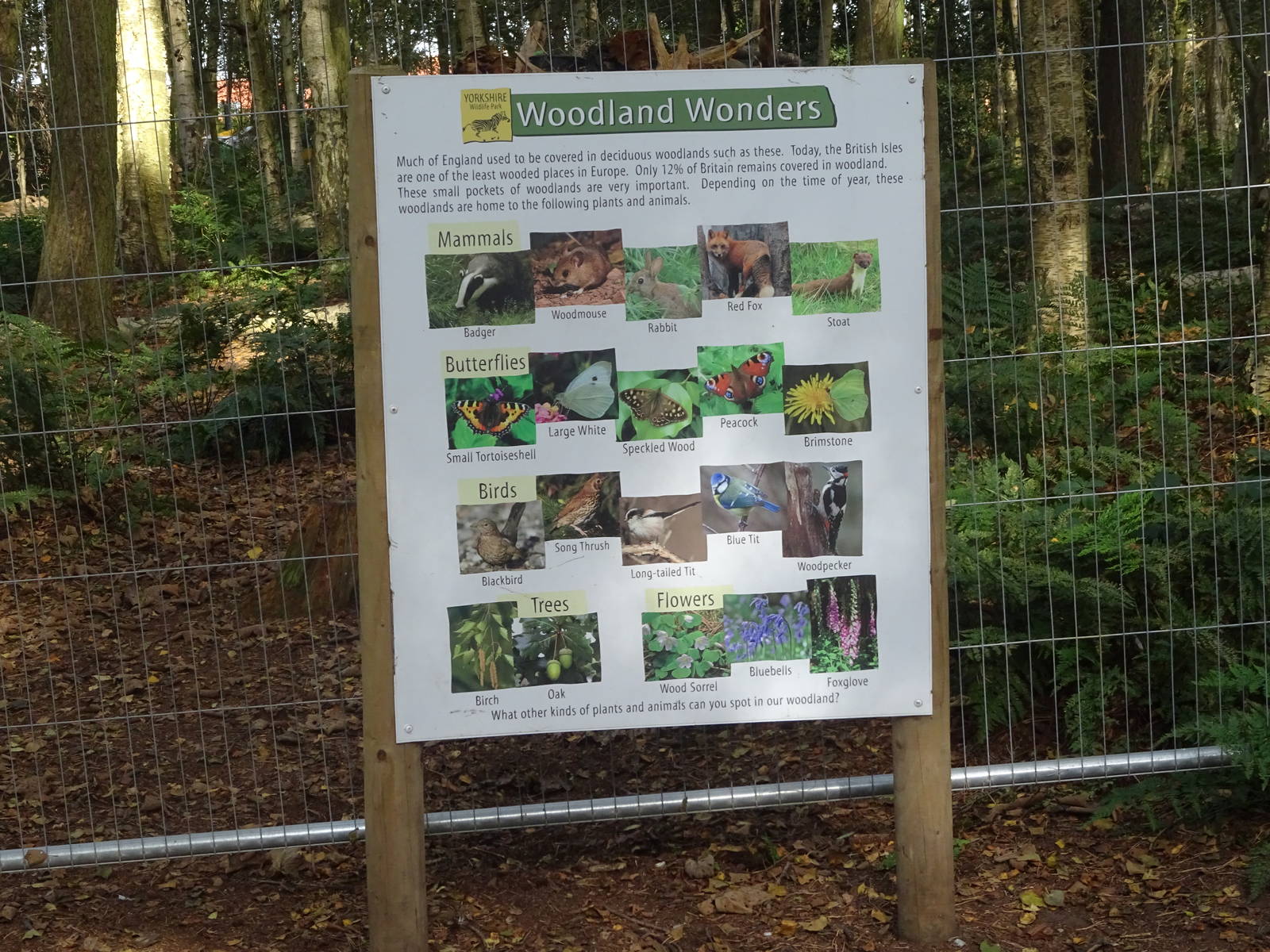 Woodland Wonders Sign