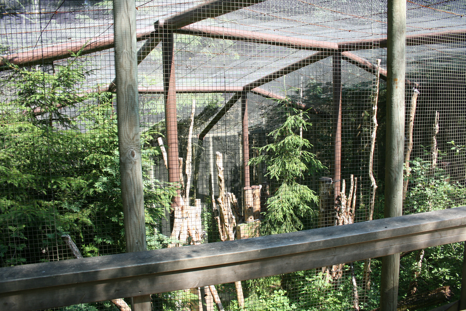 Woodpecker aviary