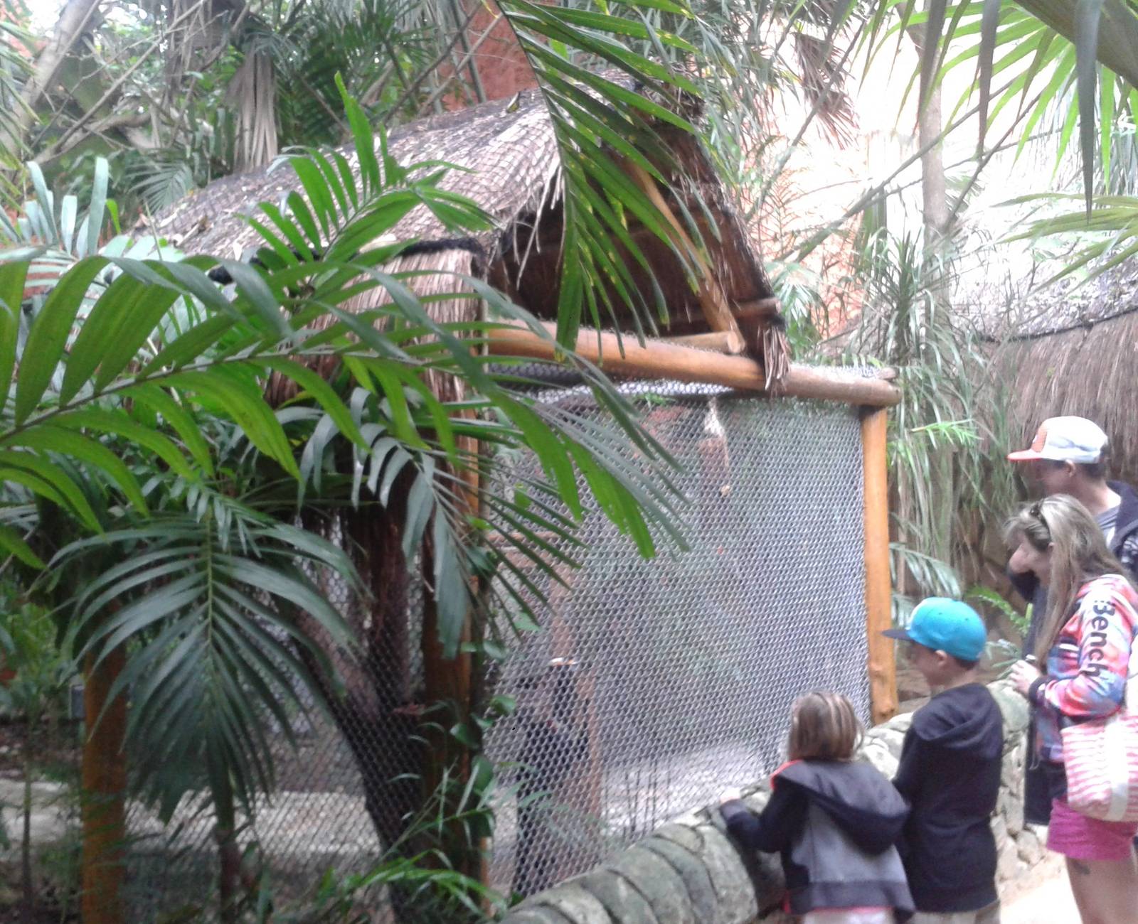 Woodpecker enclosure